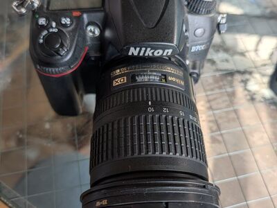 Nikon D7000 Infrared converted 10-24mm lens