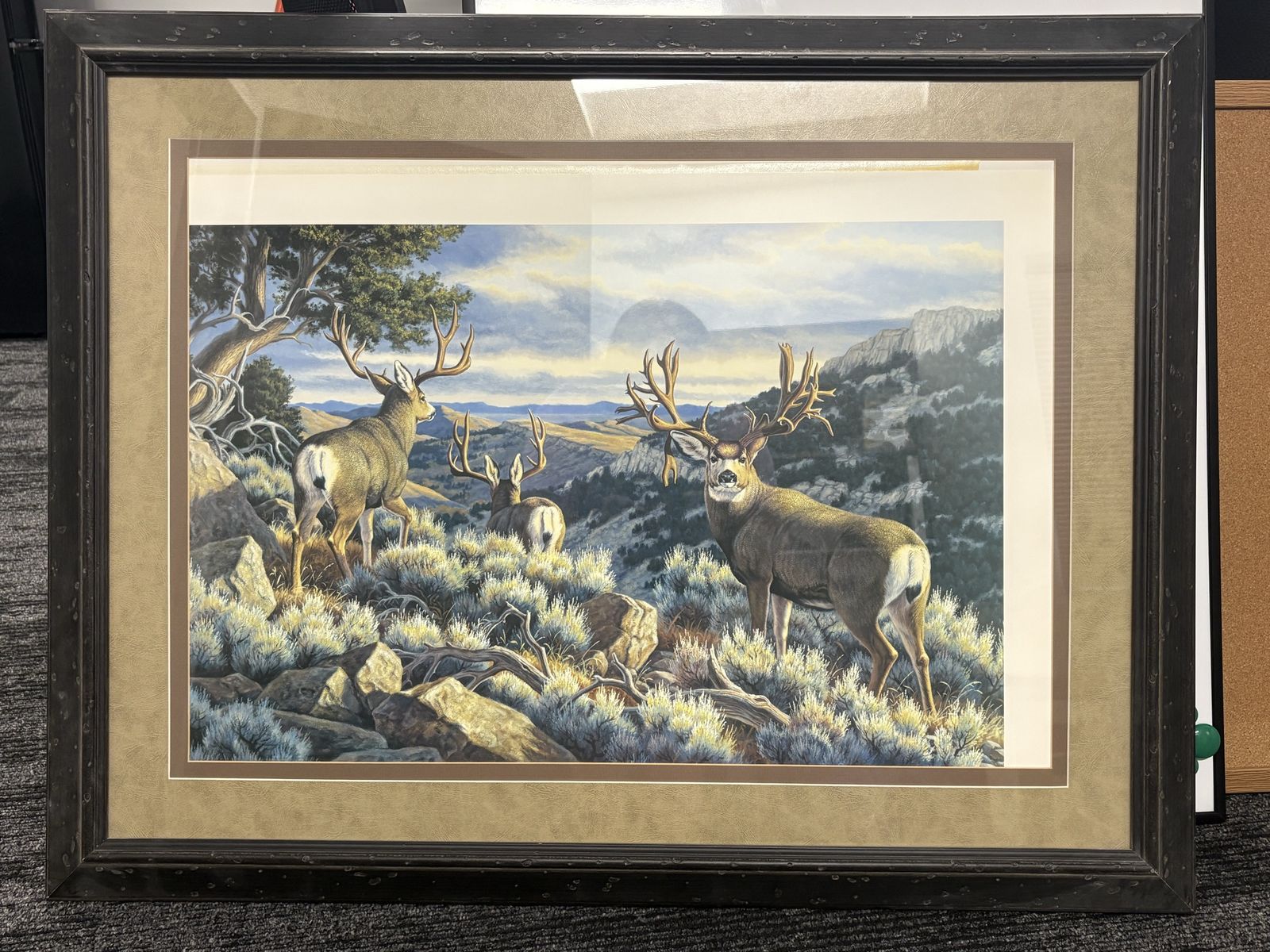 Framed Pictured