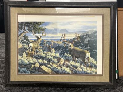 Framed Pictured