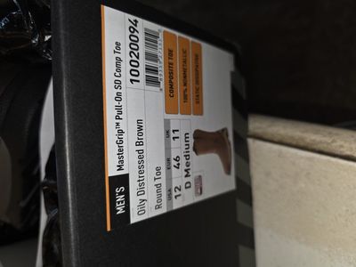 Ariat Work Boots **New**