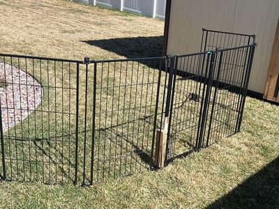 Carlson Petpen W/gate