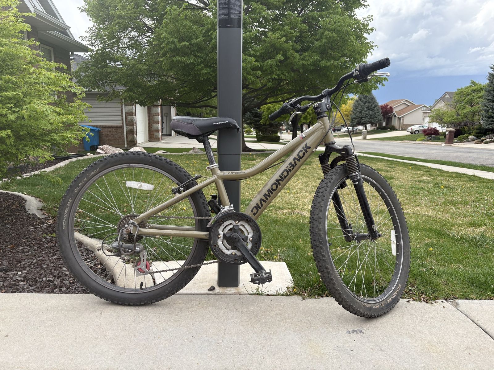 Kids Mountain Bike 24" Wheel  21 Speed Diamondback