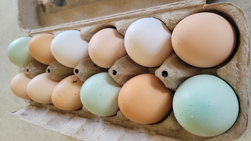 Fresh Eggs from Spoiled Chickens