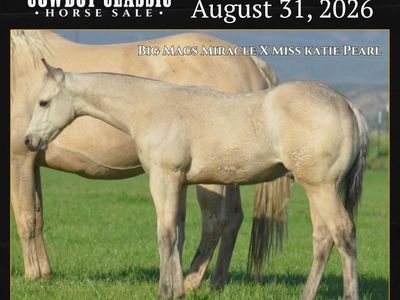Weanling Colt That Is Built To Last