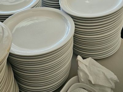 9" dinner plates