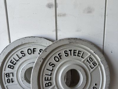 Bells of Steel 10 Pound Change Plate Pair (20 Pounds Total)