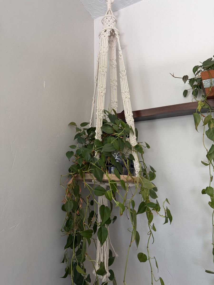 Main image 5