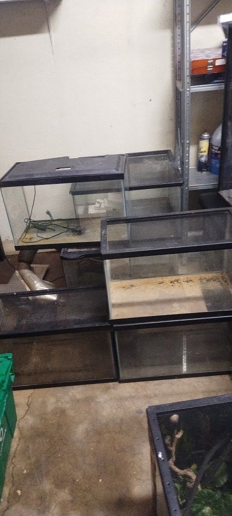 10 gallon tanks