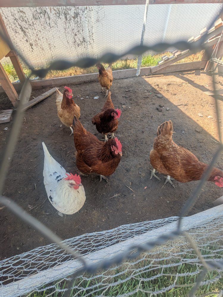 Main image 2