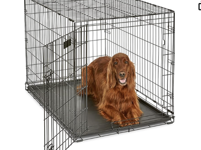 New in box. 42 Inch Crate for Large Breeds - 71-90lbs