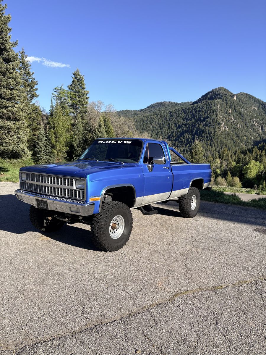 1982 Chevrolet C/K 10 Series K10 Silverado