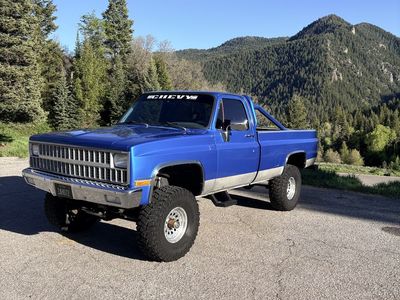 1982 Chevrolet C/K 10 Series K10 Silverado