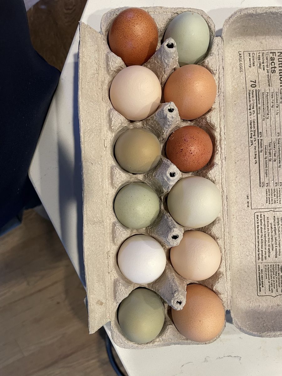 Fresh Farm Eggs - Assorted Multi-Color Dozen (Large)