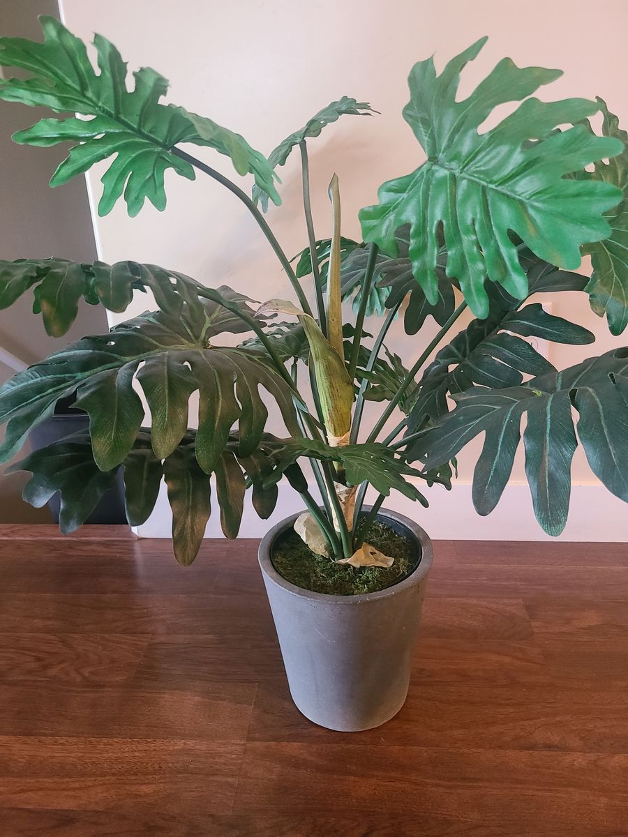 Artificial Plant (30" tall)