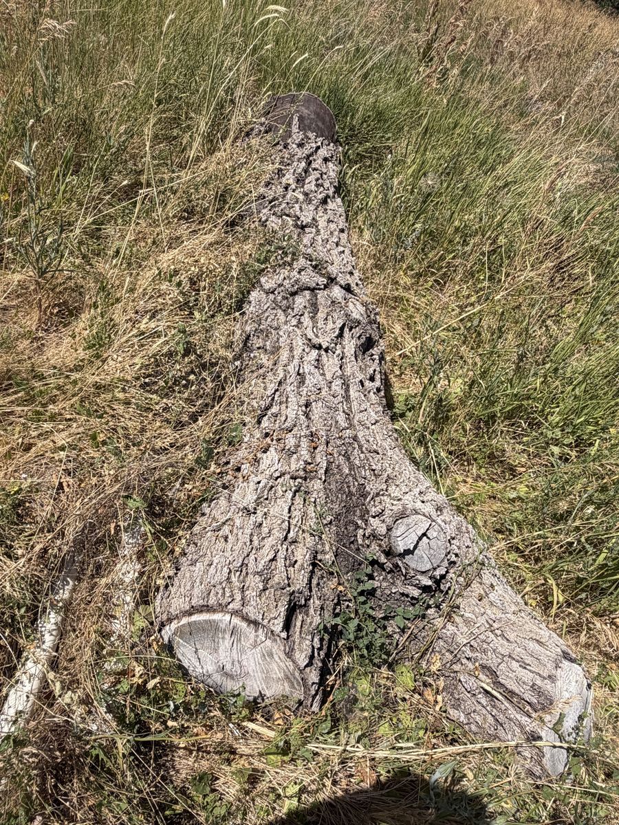 Main image 3