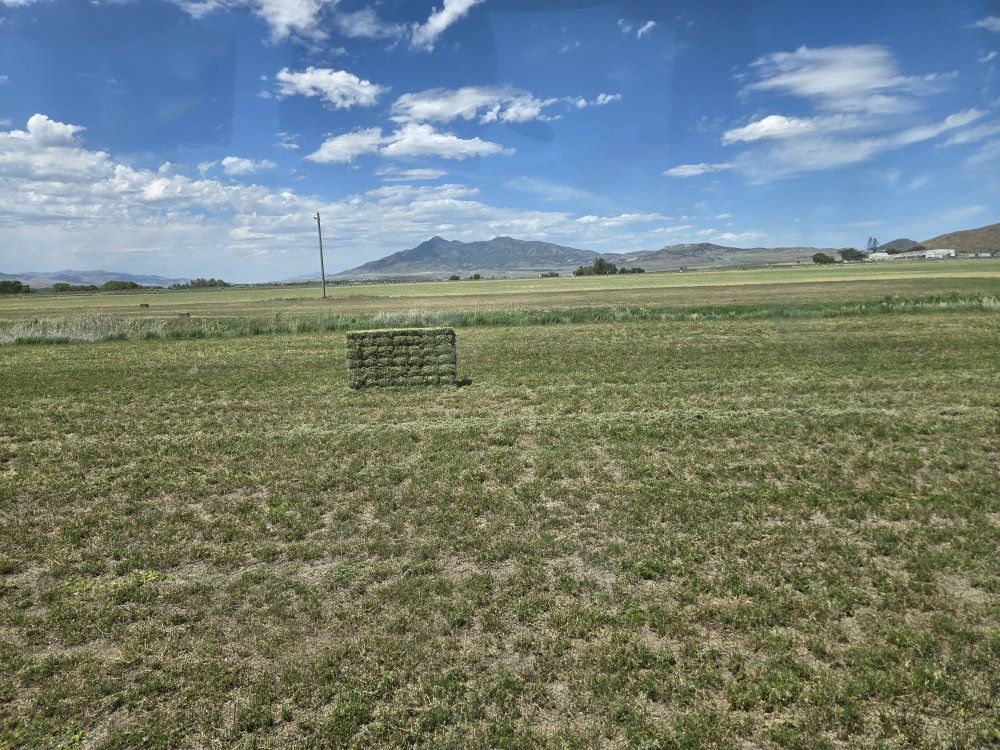 Main image 12
