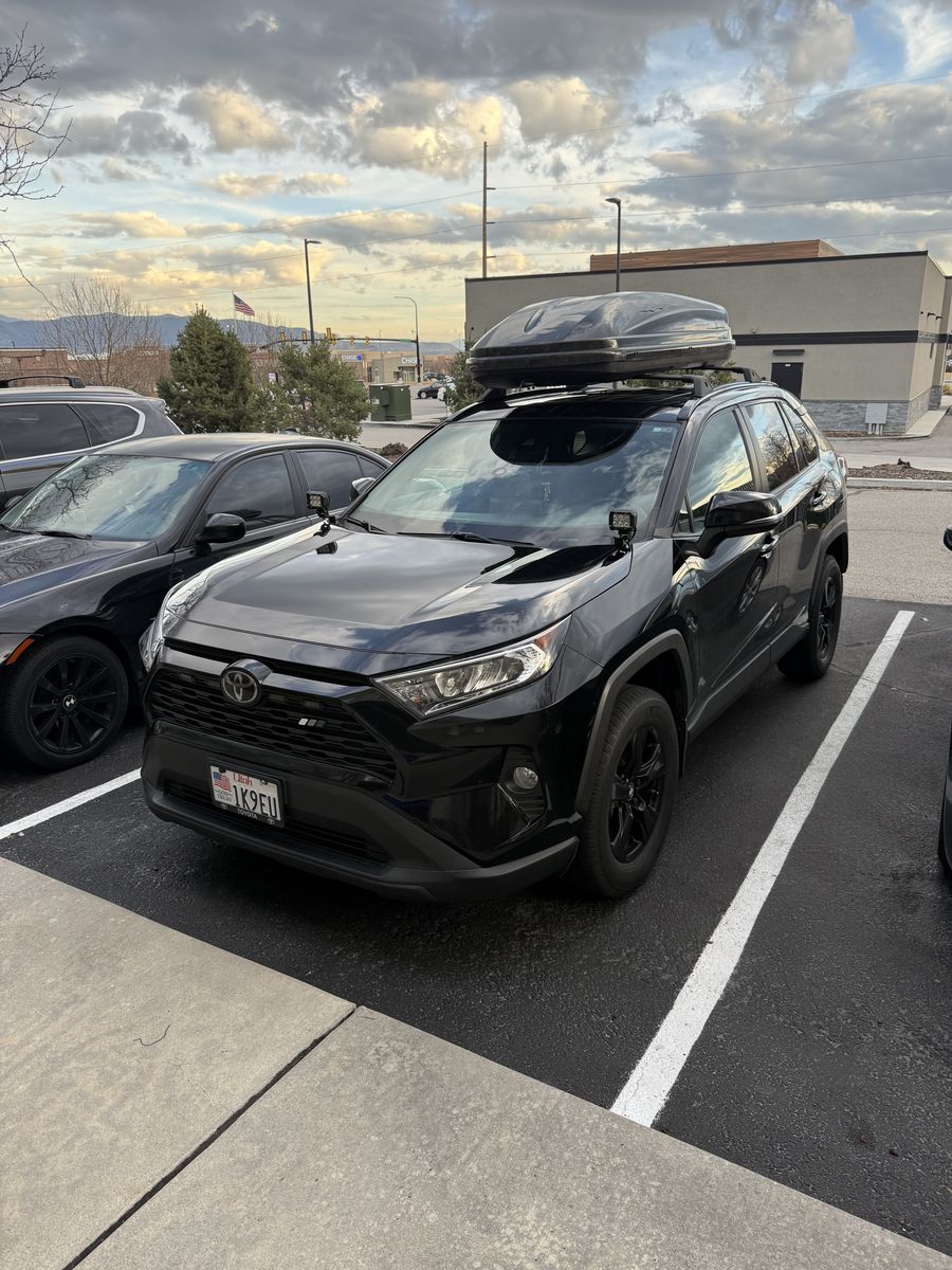 Thule Pulse Large Cargo Box