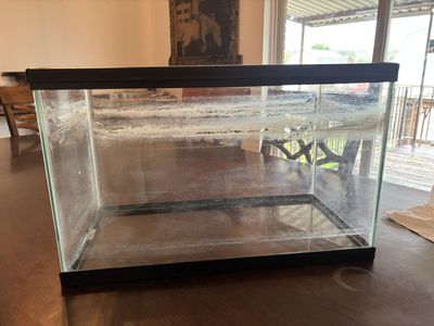 10 gal fish tank