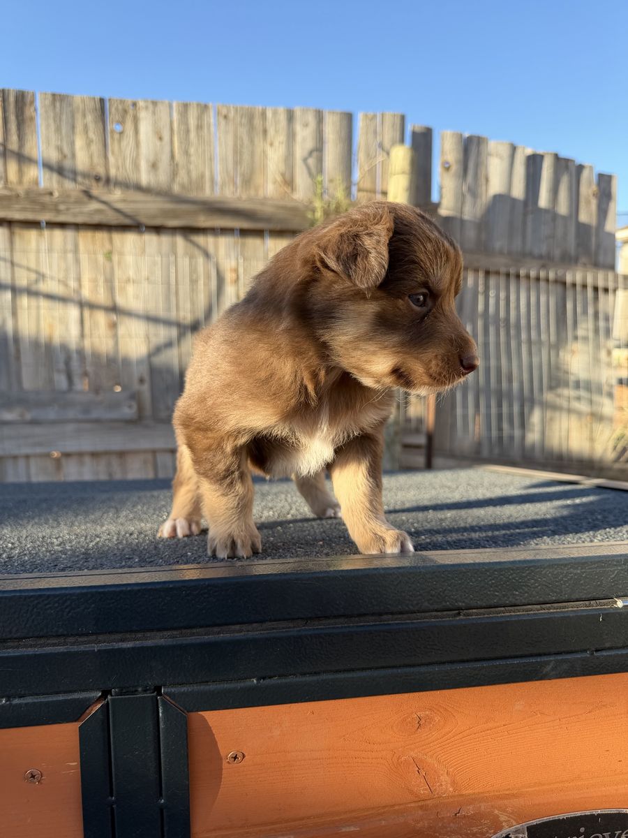 Main image 12