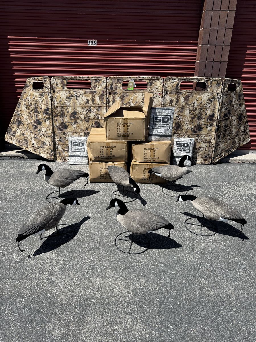 Goose Decoys