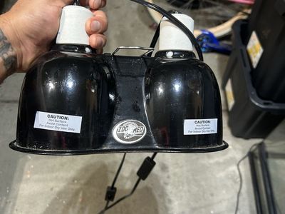 Zoomed dual dome lamp