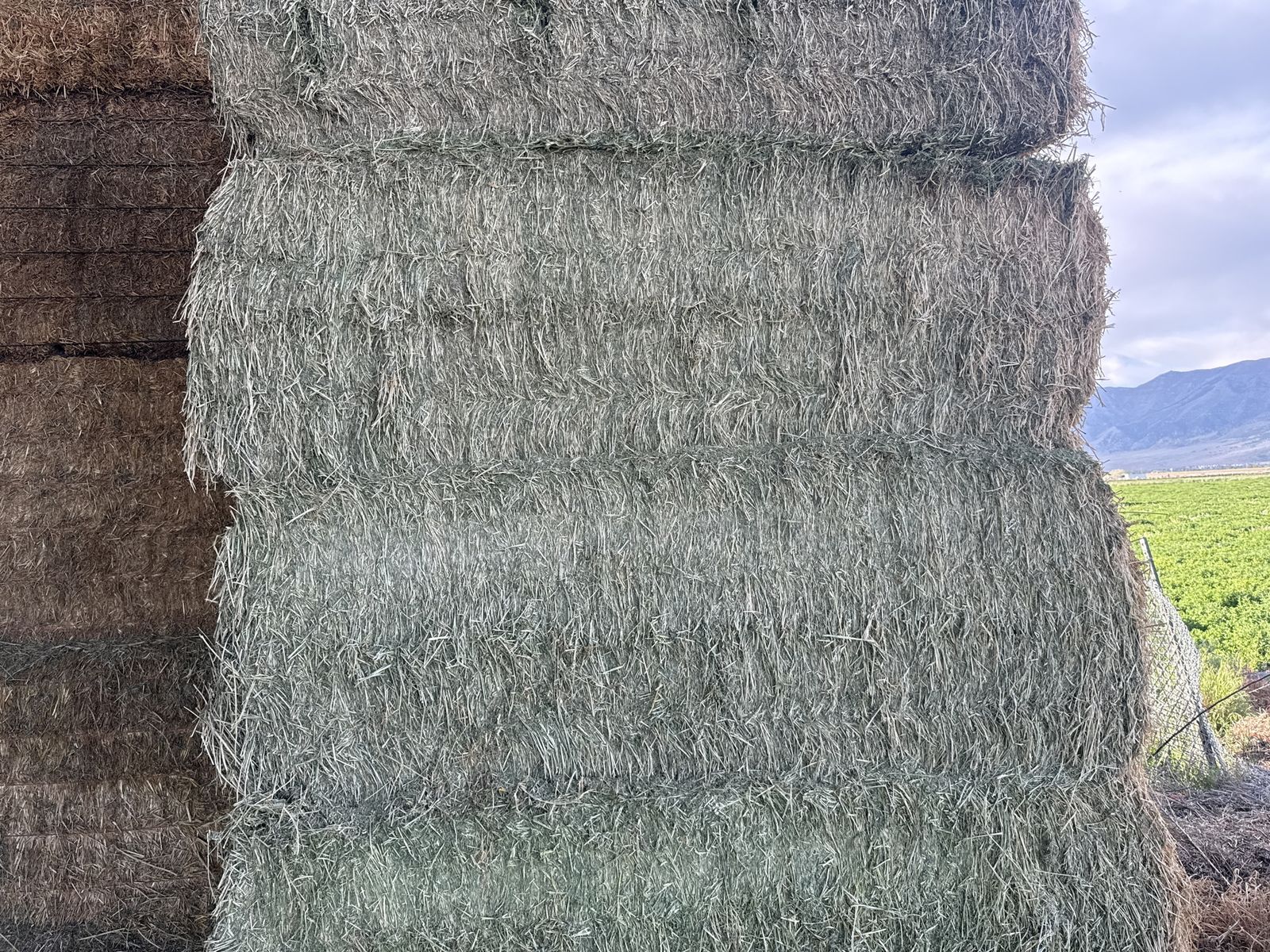 Hay for Sale