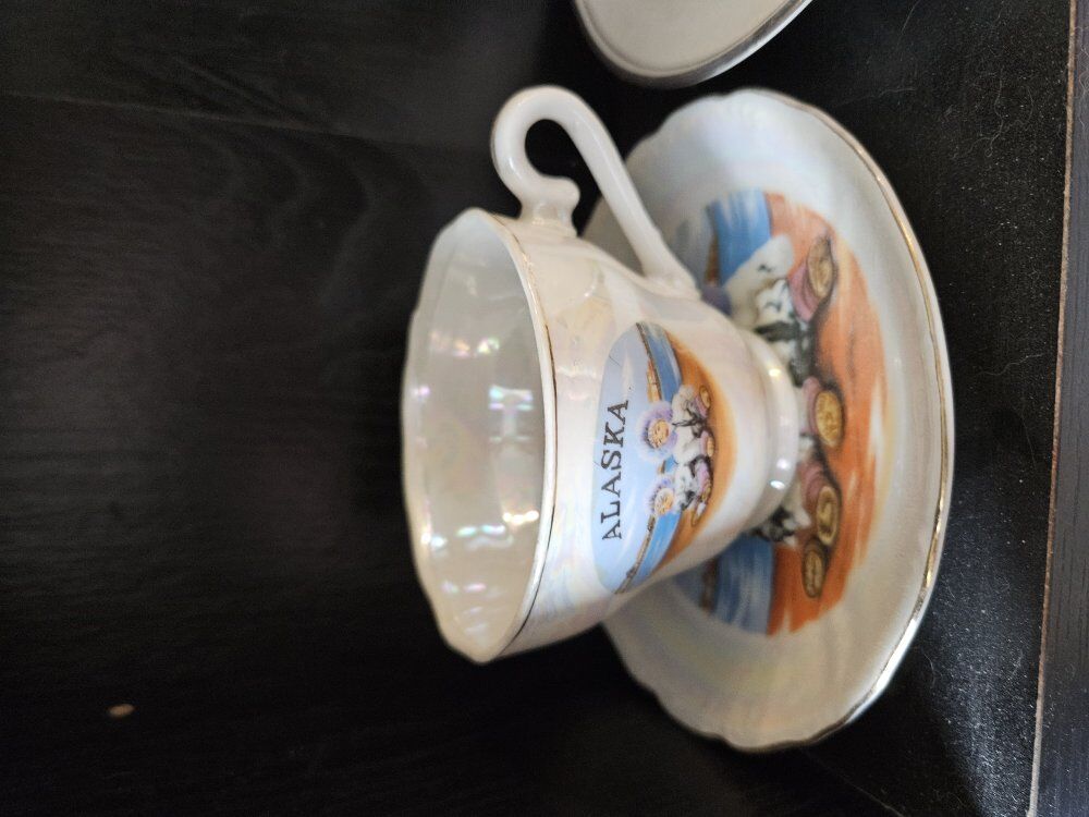 Alaska Tea Cup & Saucer