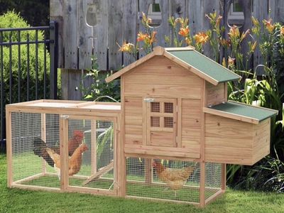 Brand New Chicken Coop / Small Animal Hutch