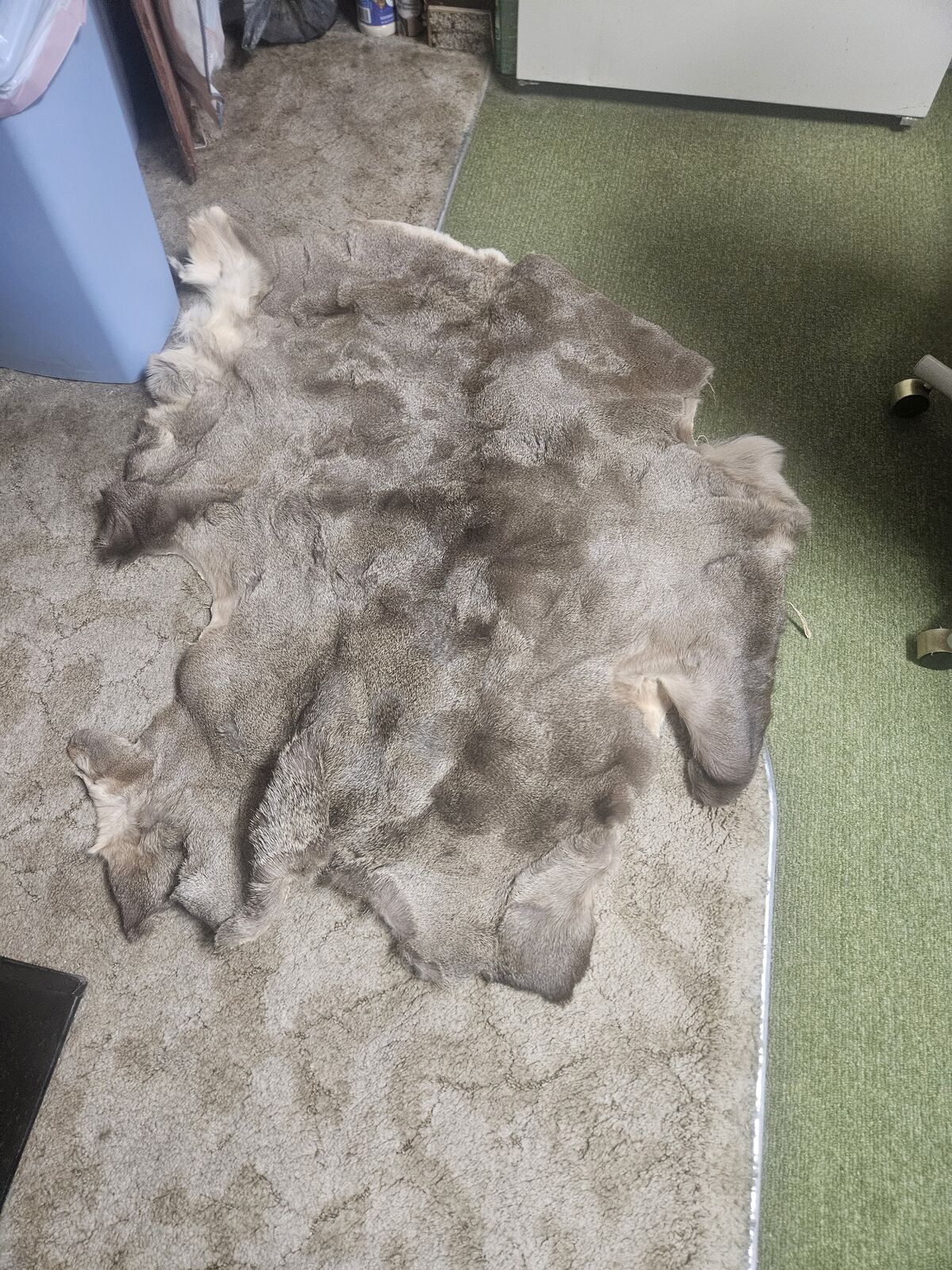 tanned deer hide