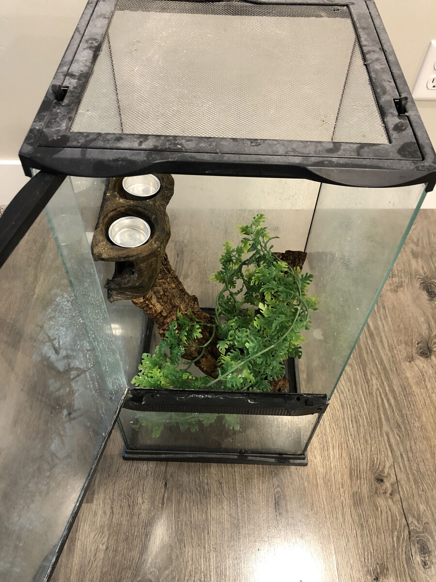 12x12x24 Glass Tank/Terrarium/Enclosure w/ Interior Pieces