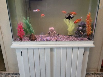 45 Gallon Aquarium w/Fish