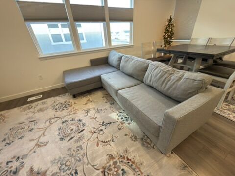 Gray Sofa with Chaise