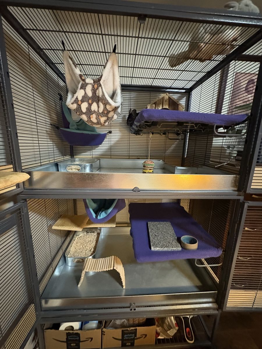 Main image 5