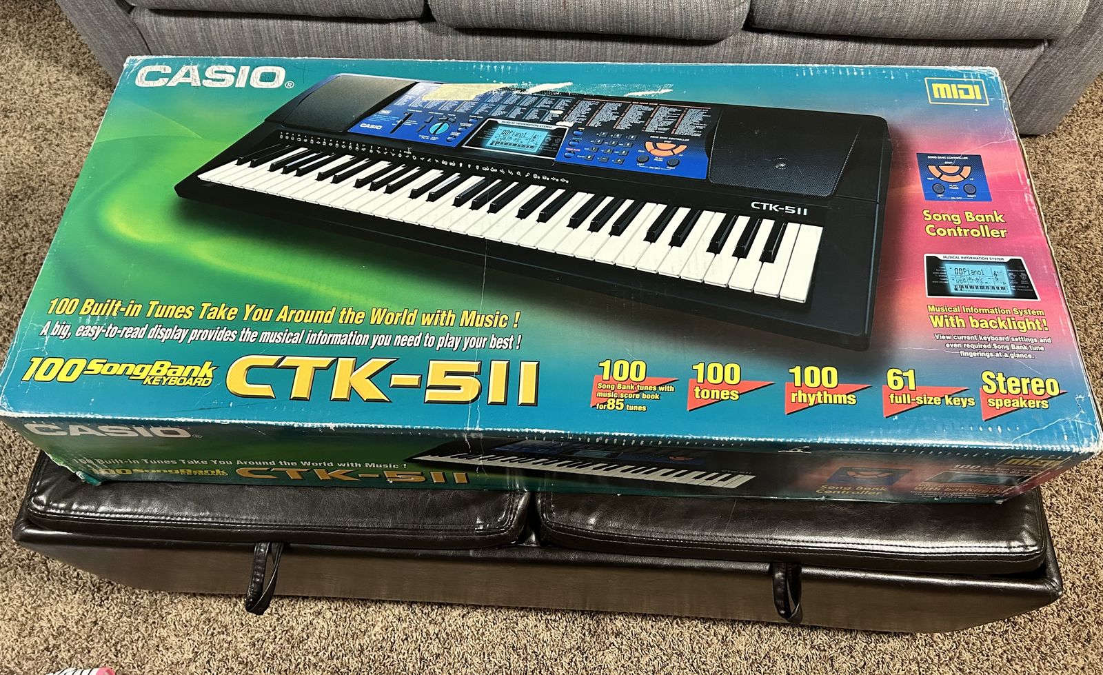 Casio Keyboard (electric)