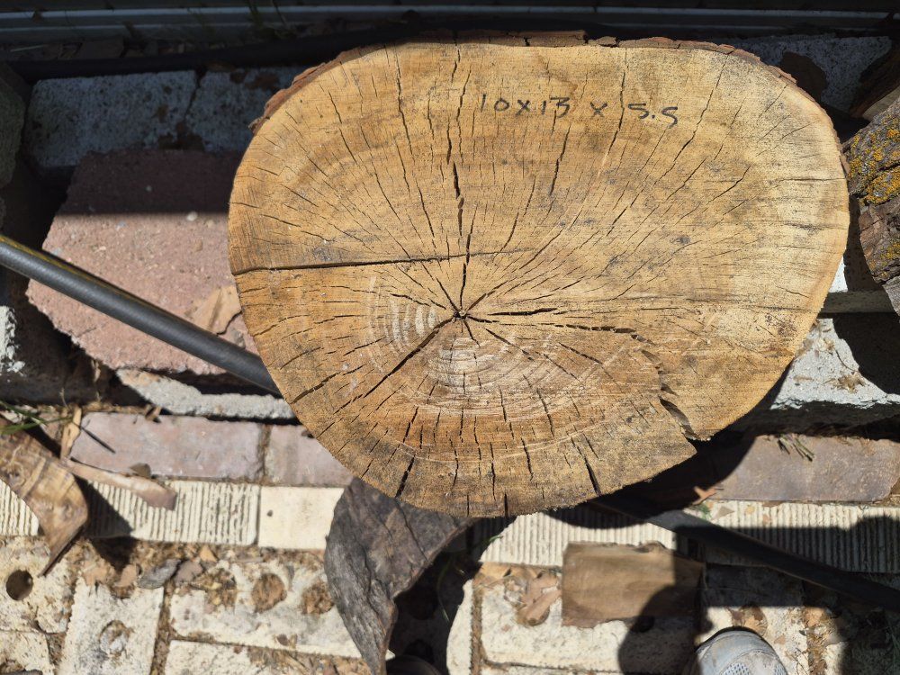Silver Maple Rounds Various Heights & Price,  cash