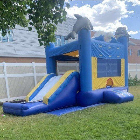 Dolphin Bounce House Inflatable Water Slide Combo