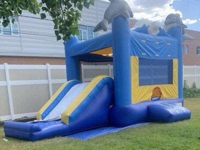 Dolphin Bounce House Inflatable Water Slide Combo