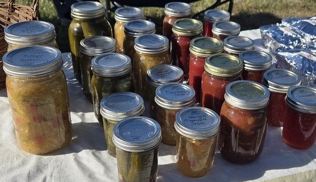 Homemade Jams & Salsas and pickles. Variety of Flavors, Canned Goods.