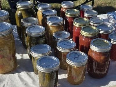 Homemade Jams & Salsas and pickles. Variety of Flavors, Canned Goods.