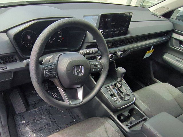 Main image 8