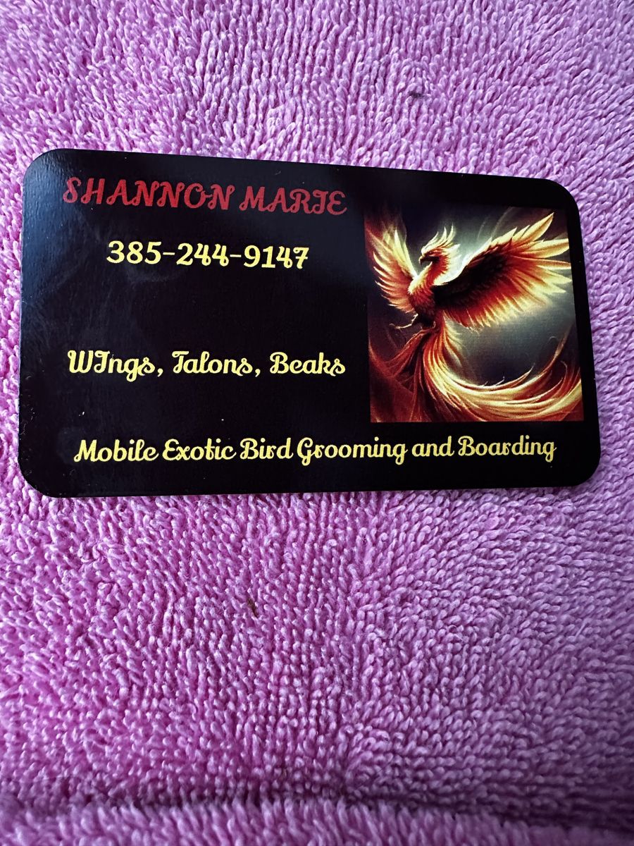 Mobile Exotic Bird Grooming And Boarding
