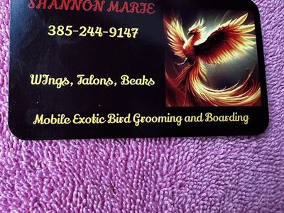 Mobile Exotic Bird Grooming And Boarding
