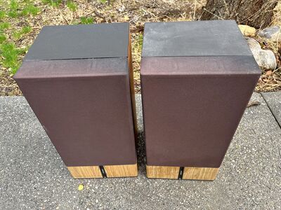 Bose 6.2 everywhere speakers