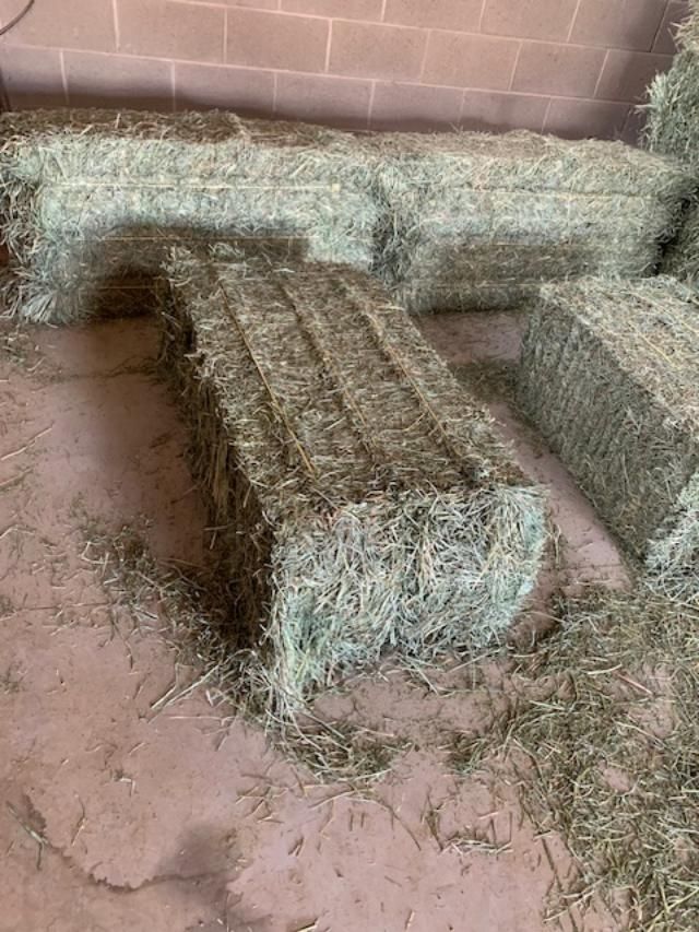 Grass Hay for Sale