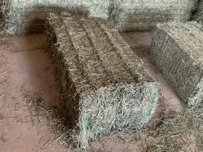 Grass Hay for Sale
