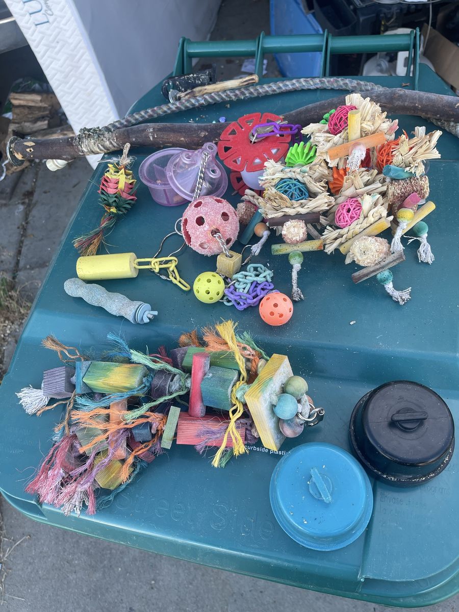 Main image 6