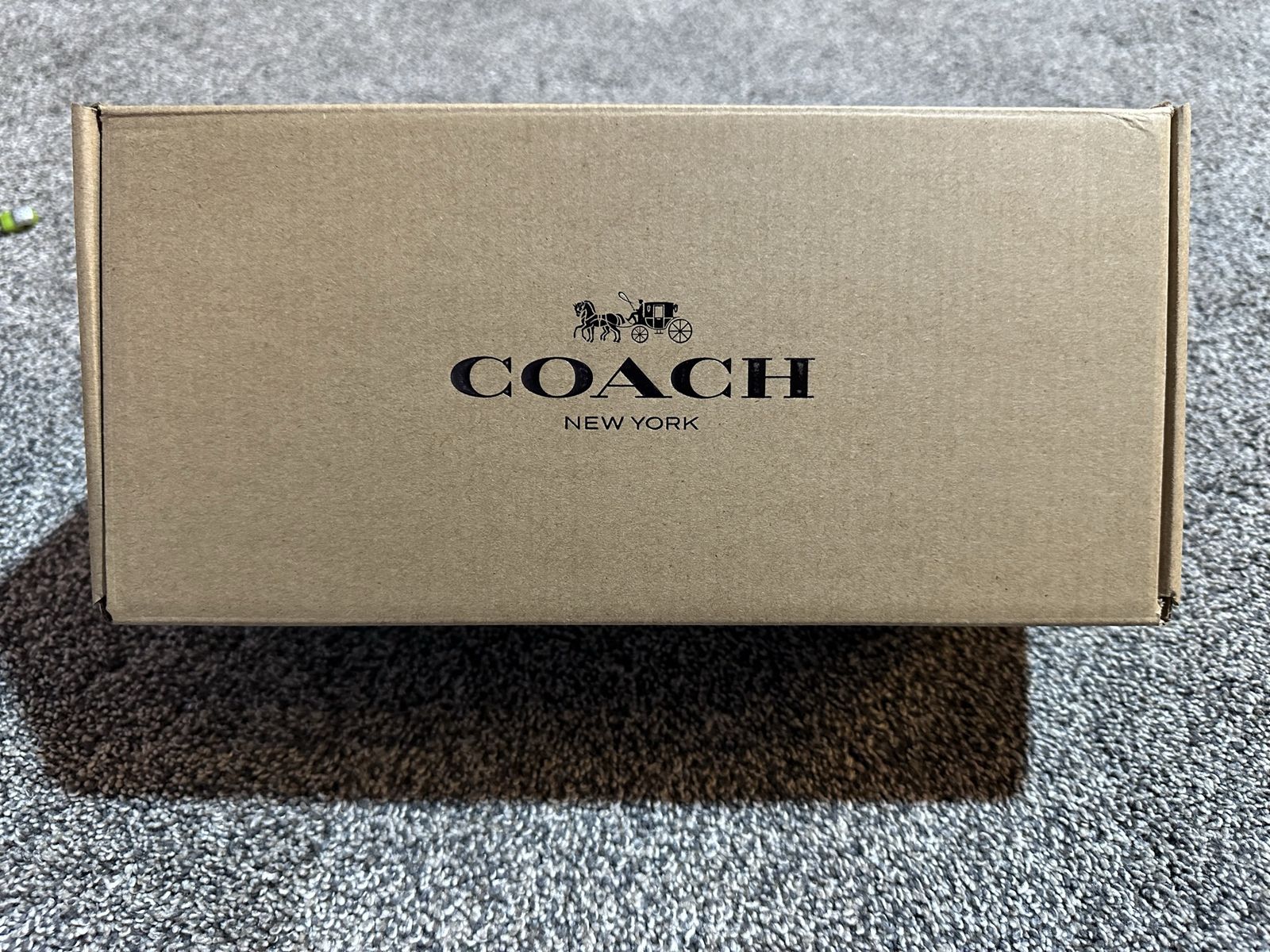 Coach Sandals