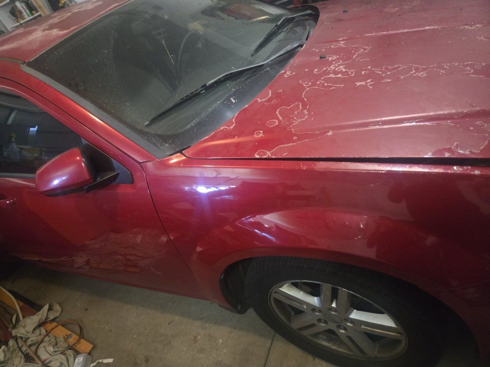 2011 dodge Avenger Maintsreet
