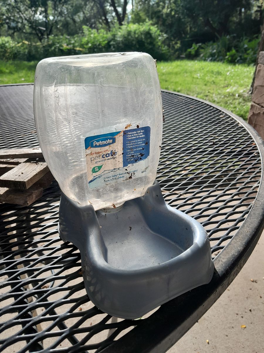 Petmate Pet Cafe Gravity Waterer - 0.25 Gallon Blue/Clear