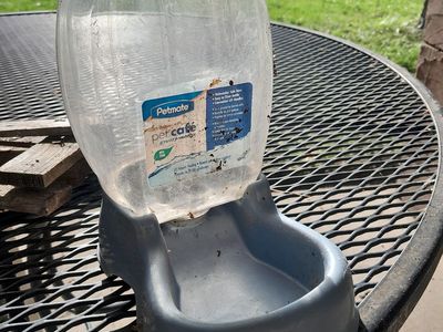 Petmate Pet Cafe Gravity Waterer - 0.25 Gallon Blue/Clear